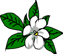 Logo fleur Natur' Sand Fleur blanche et feuilles vertes